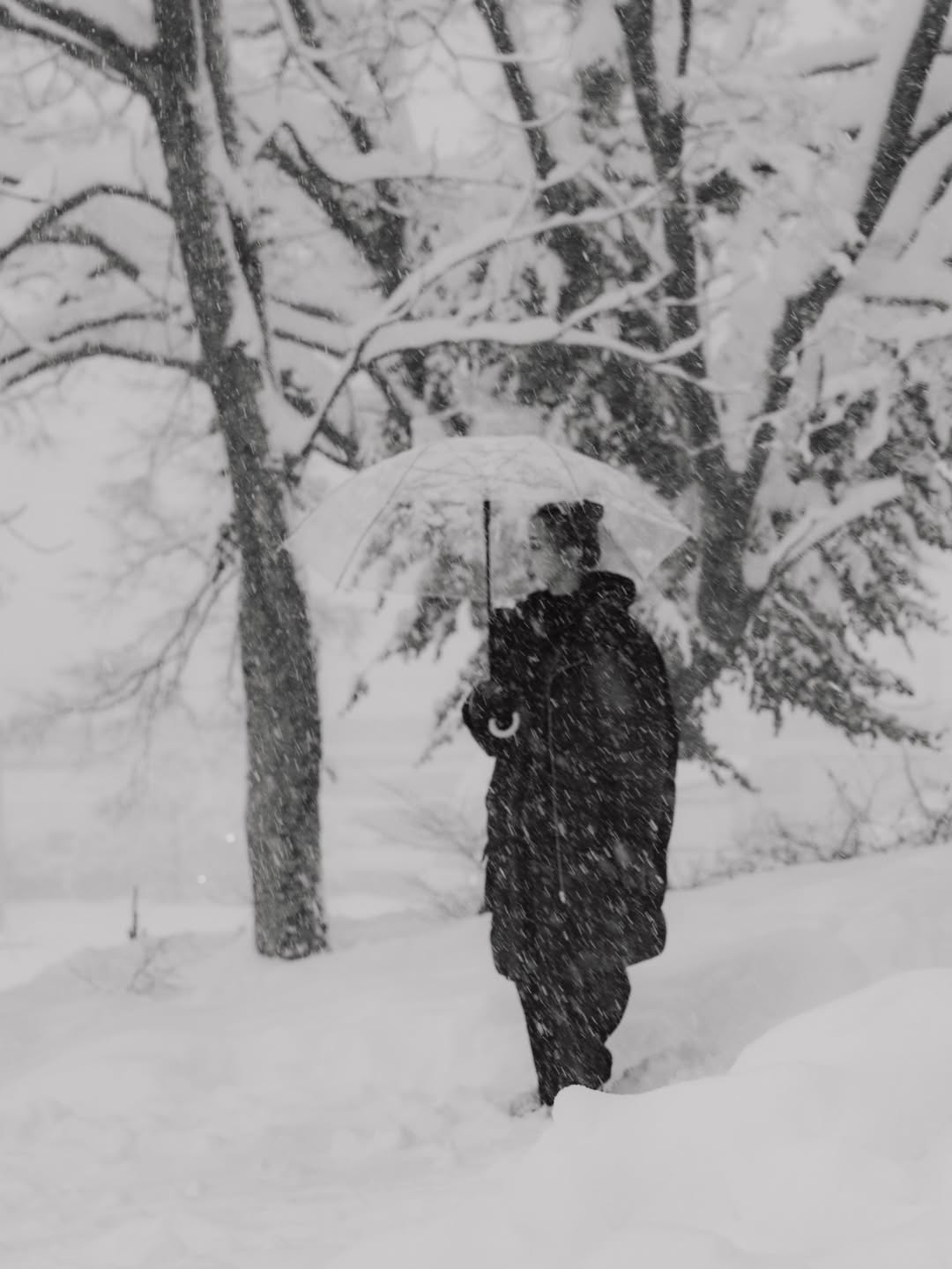 เนเน่ - พรนับพัน พรเพ็ญพิพัฒน์