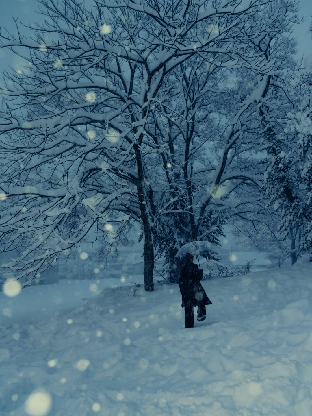 เนเน่ - พรนับพัน พรเพ็ญพิพัฒน์