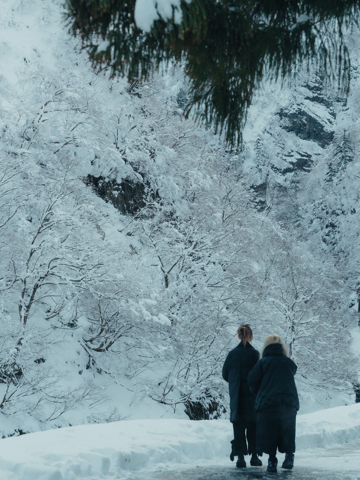 เนเน่ - พรนับพัน พรเพ็ญพิพัฒน์