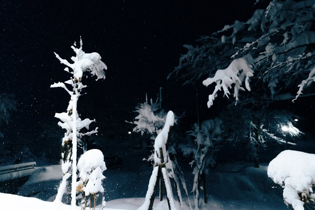 เนเน่ - พรนับพัน พรเพ็ญพิพัฒน์