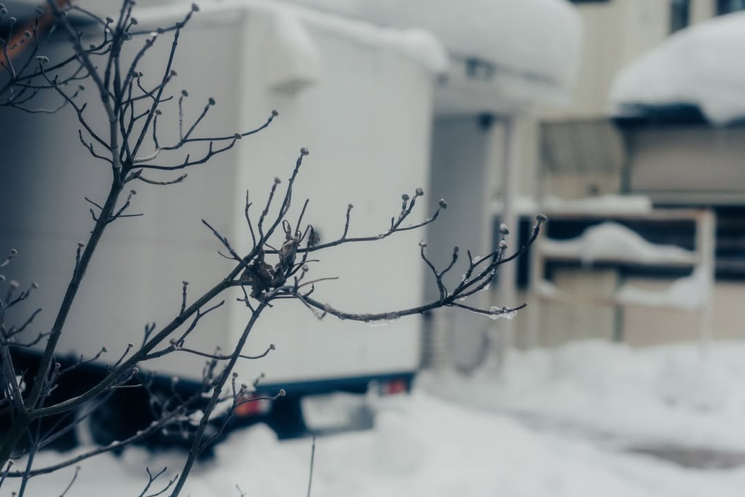 เนเน่ - พรนับพัน พรเพ็ญพิพัฒน์