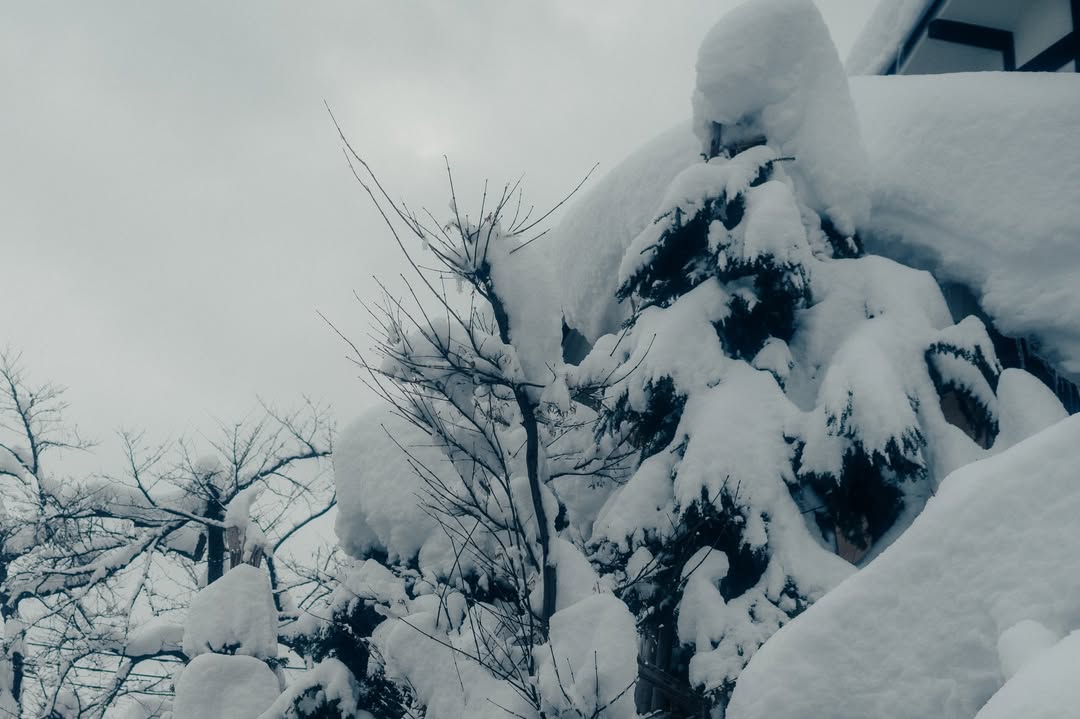 เนเน่ - พรนับพัน พรเพ็ญพิพัฒน์