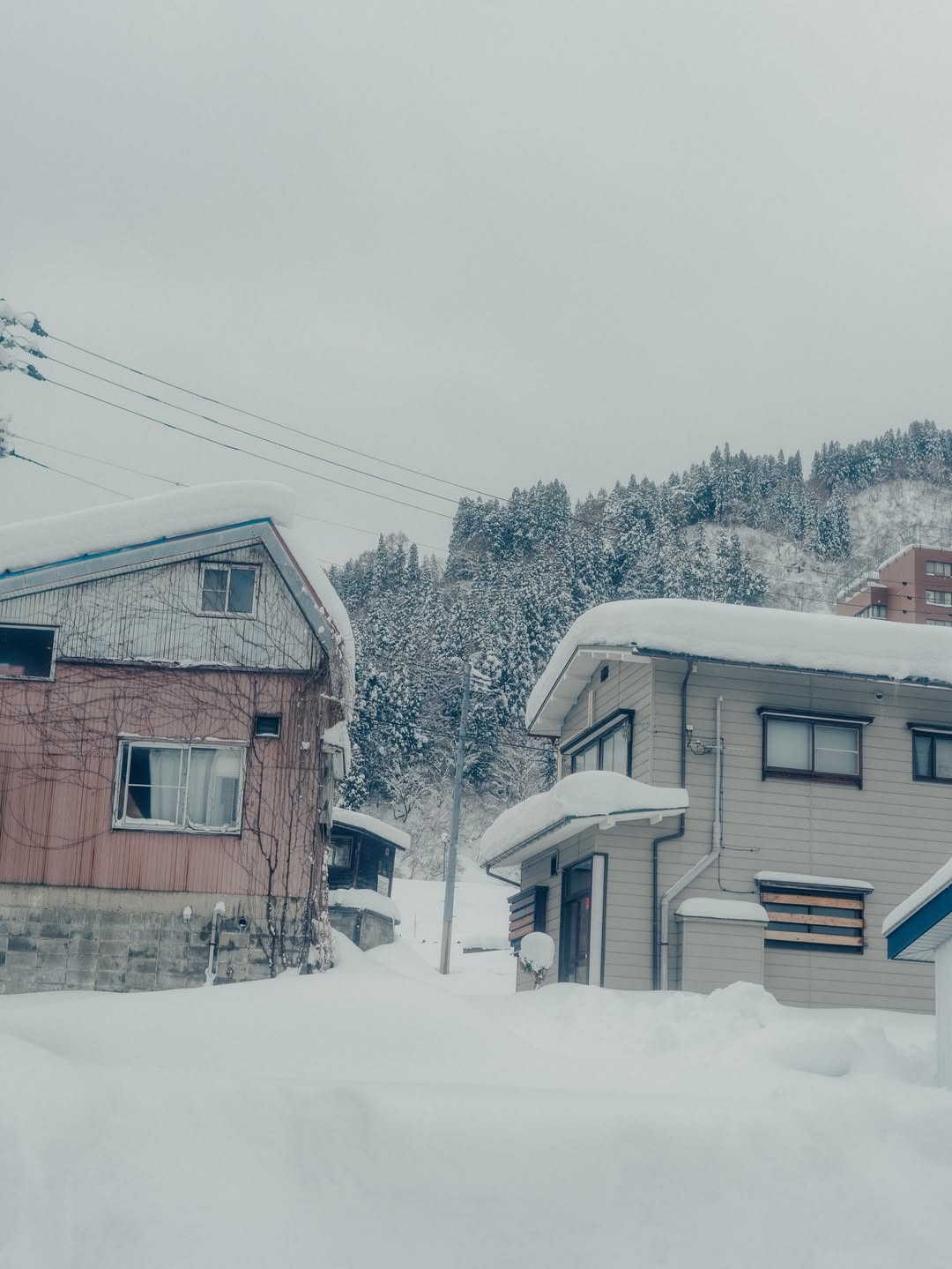 เนเน่ - พรนับพัน พรเพ็ญพิพัฒน์