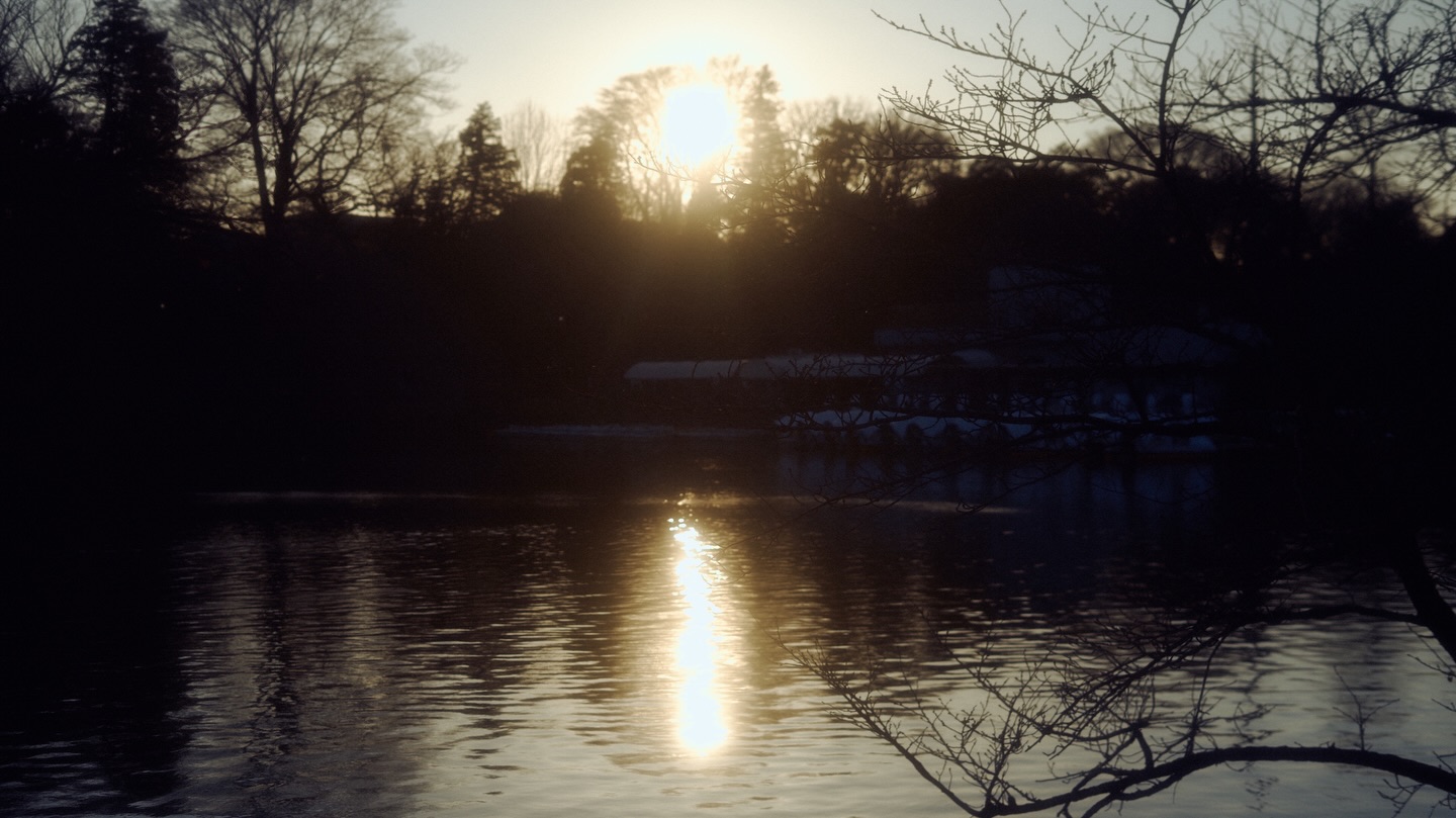 เนเน่ - พรนับพัน พรเพ็ญพิพัฒน์