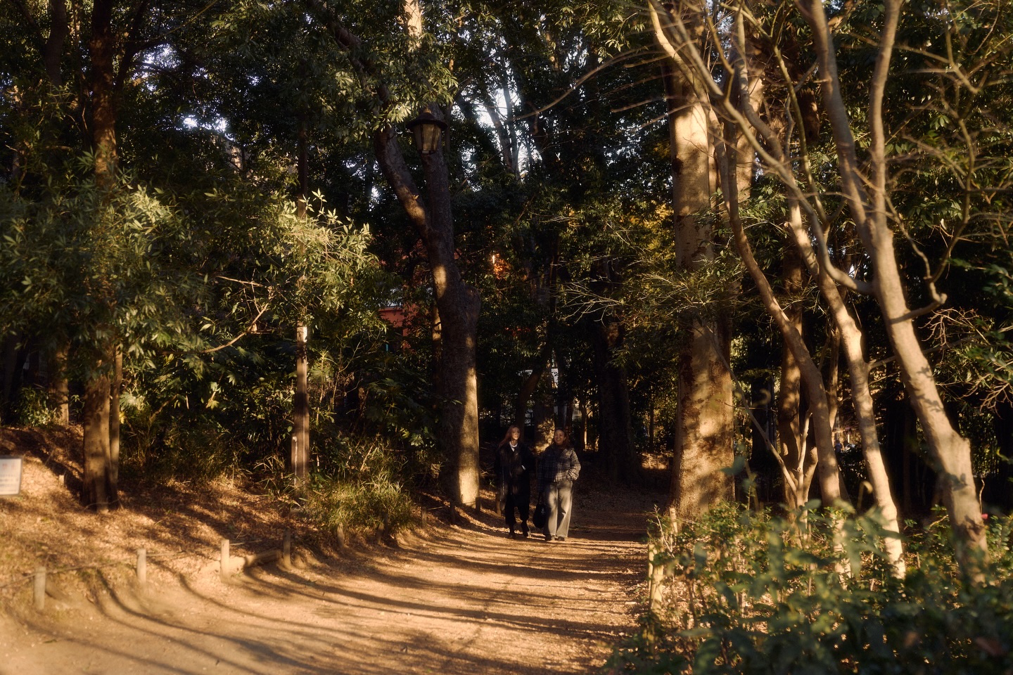 เนเน่ - พรนับพัน พรเพ็ญพิพัฒน์