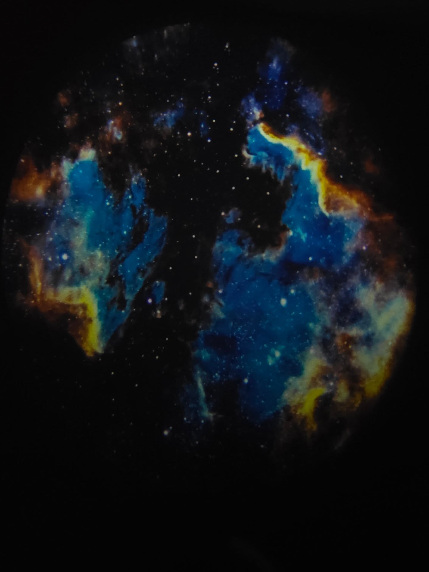 เนเน่ - พรนับพัน พรเพ็ญพิพัฒน์