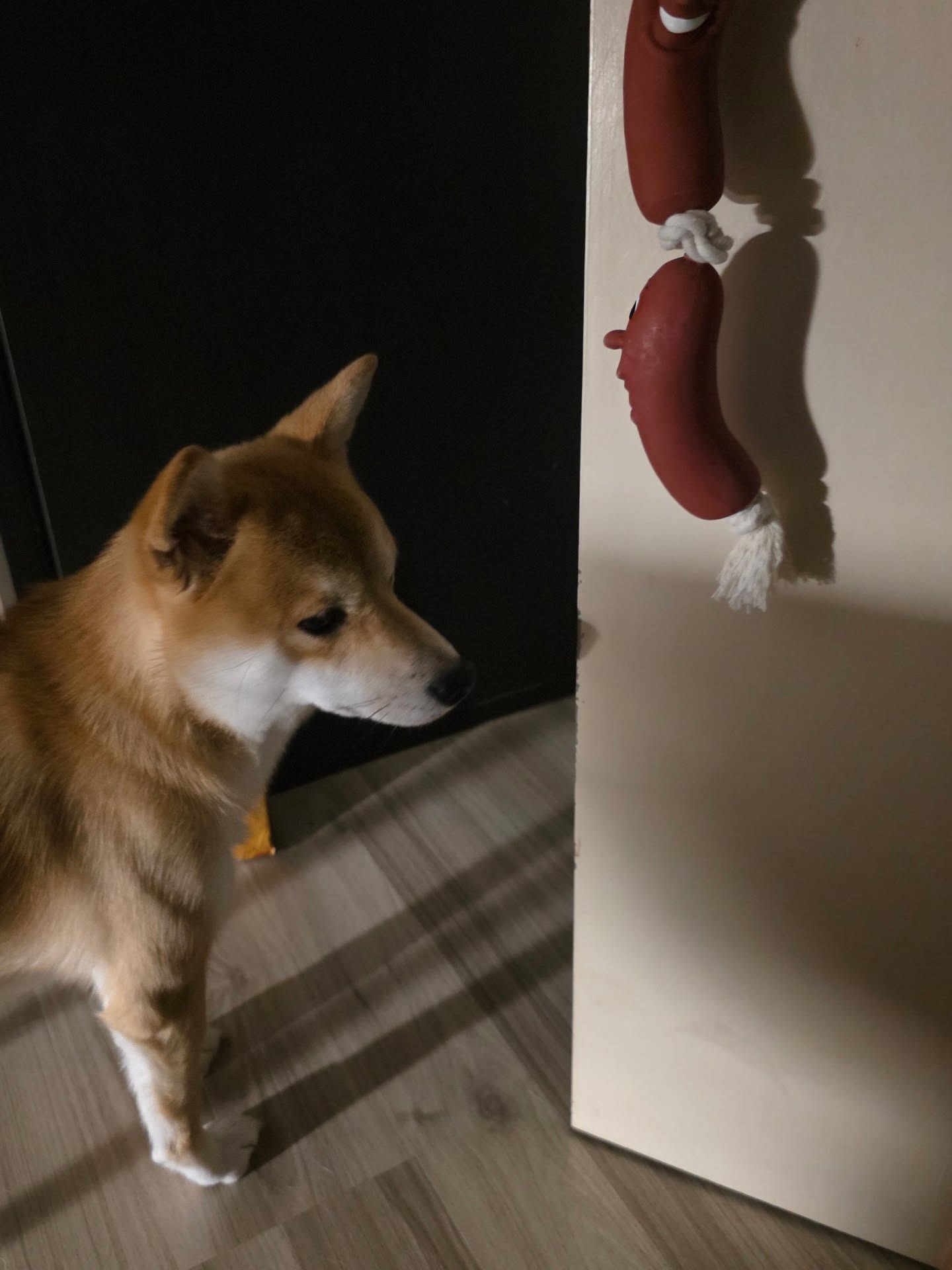 เนเน่ - พรนับพัน พรเพ็ญพิพัฒน์