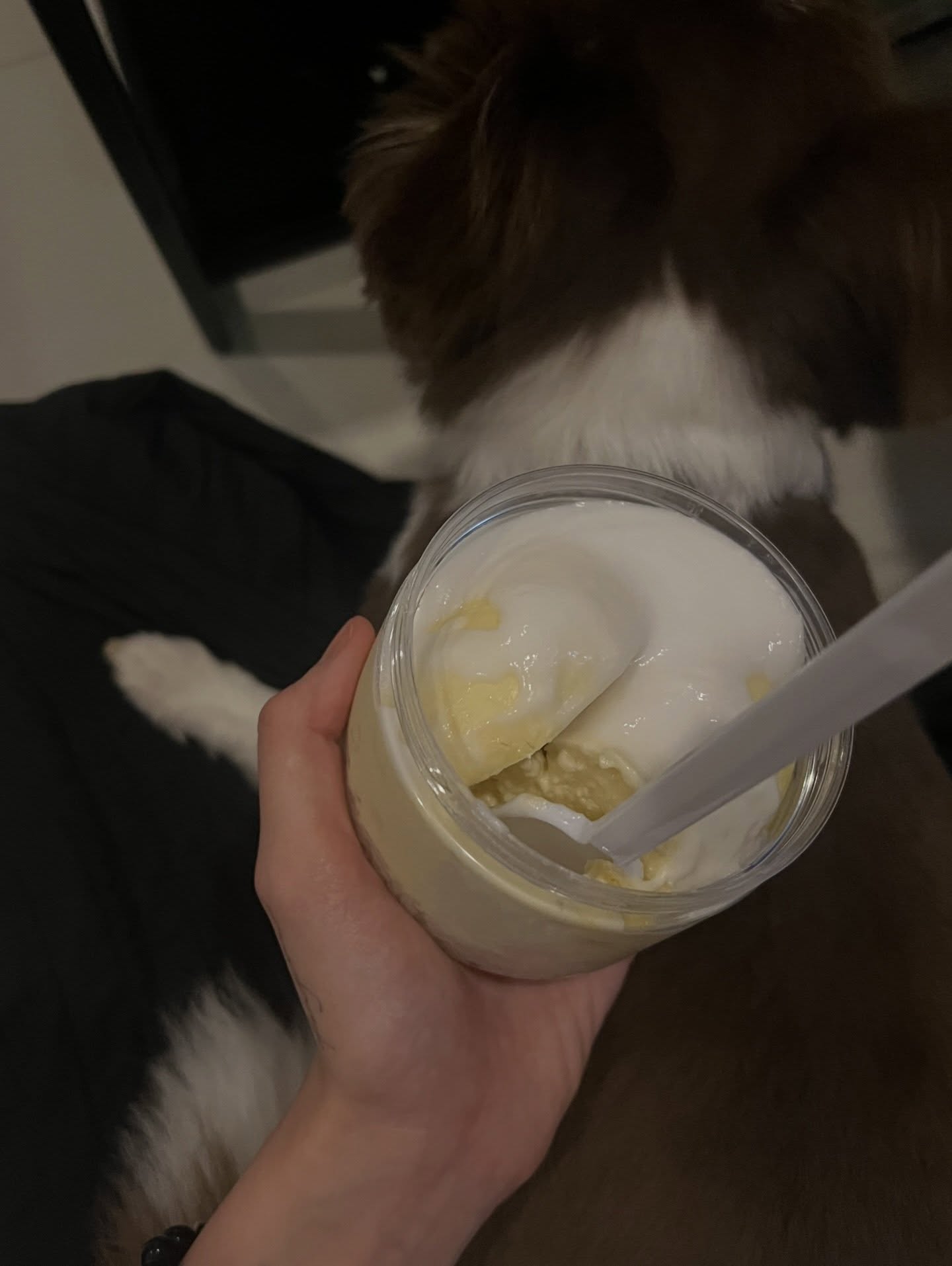 เนเน่ - พรนับพัน พรเพ็ญพิพัฒน์