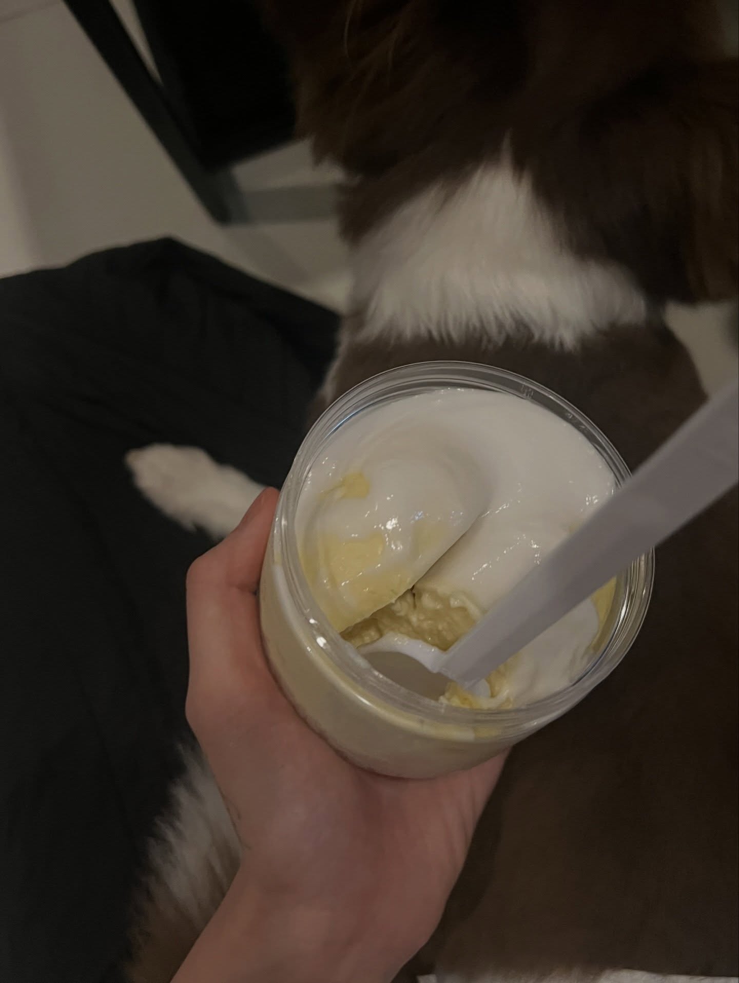 เนเน่ - พรนับพัน พรเพ็ญพิพัฒน์