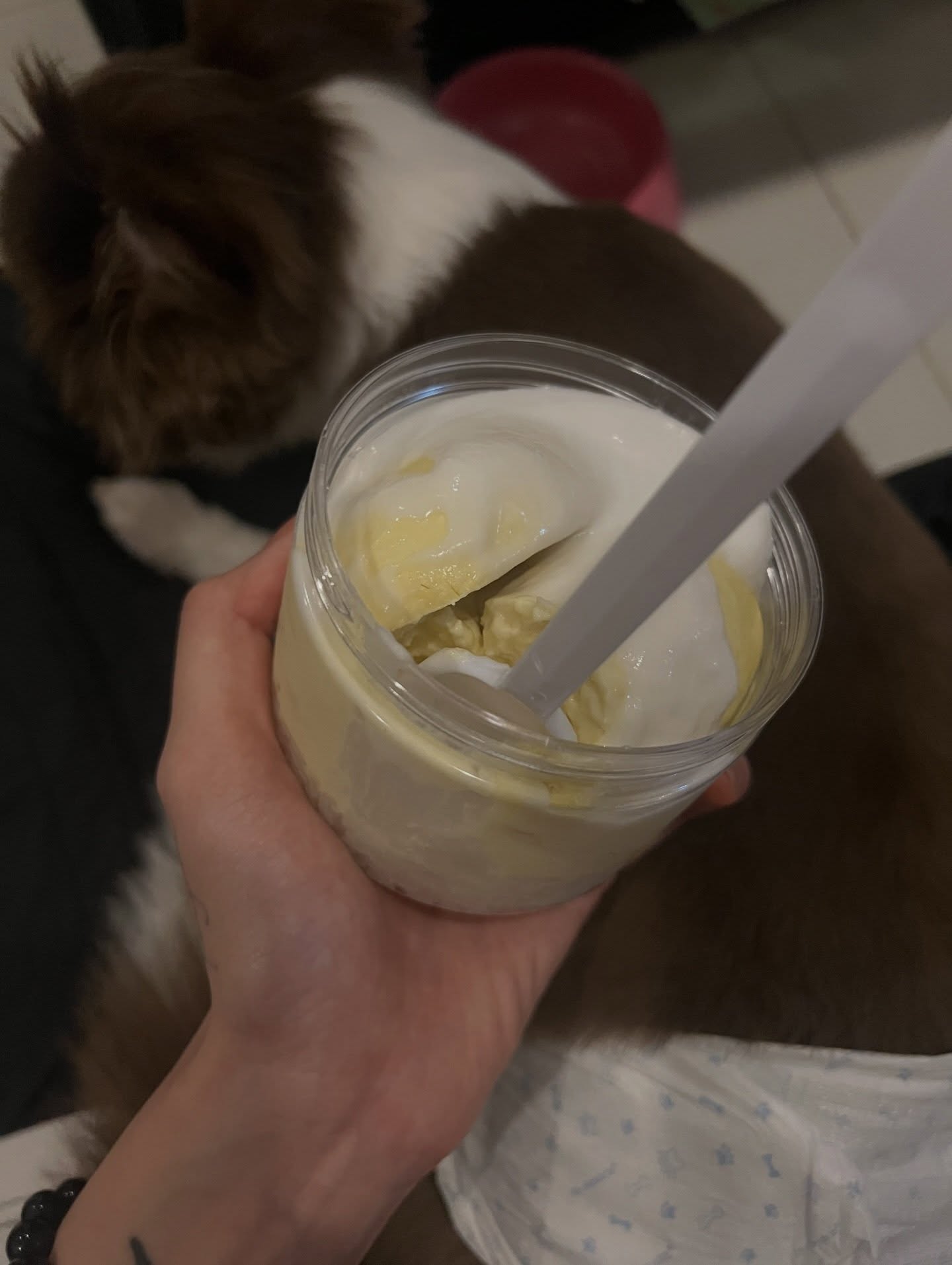 เนเน่ - พรนับพัน พรเพ็ญพิพัฒน์