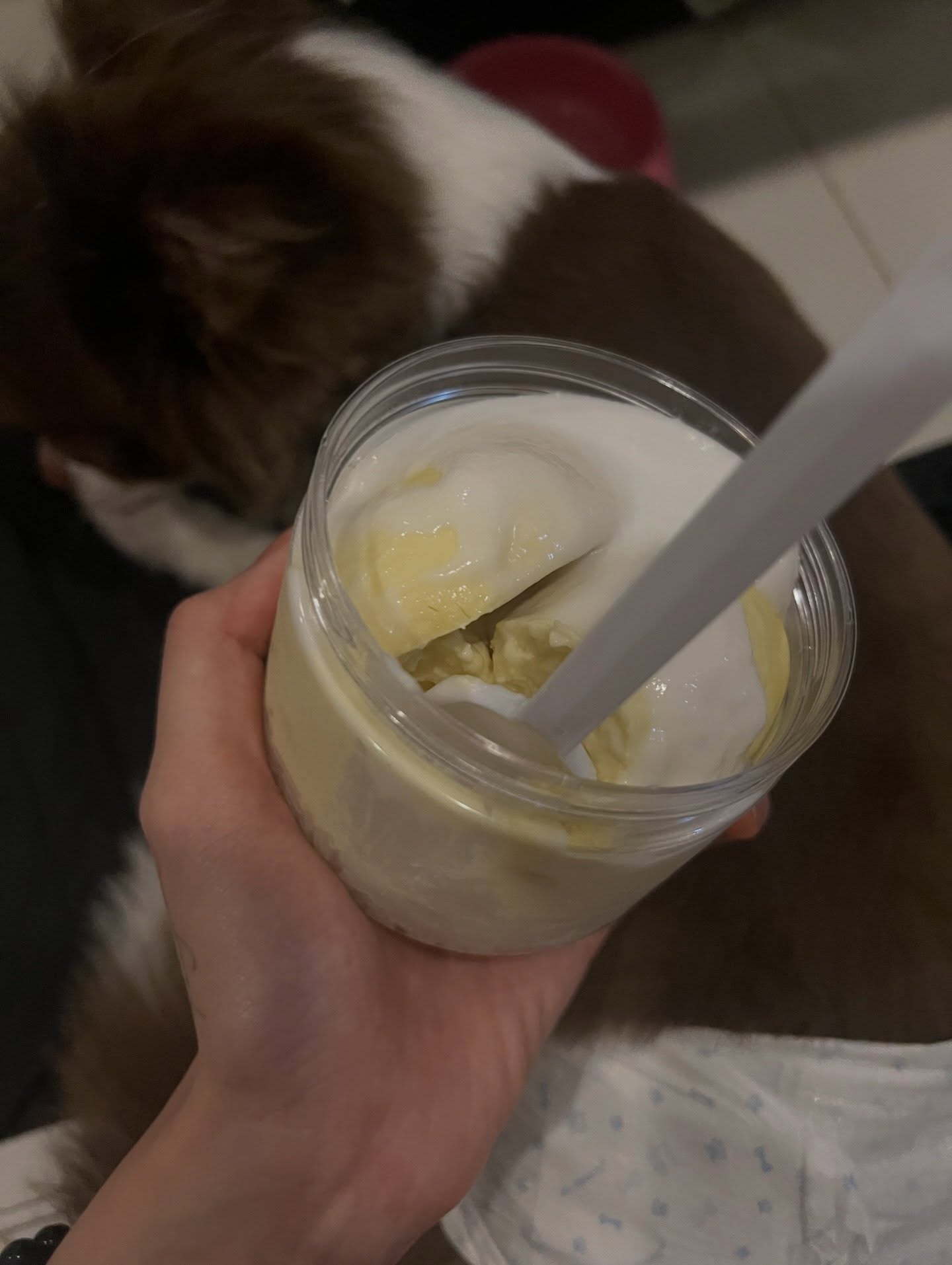 เนเน่ - พรนับพัน พรเพ็ญพิพัฒน์