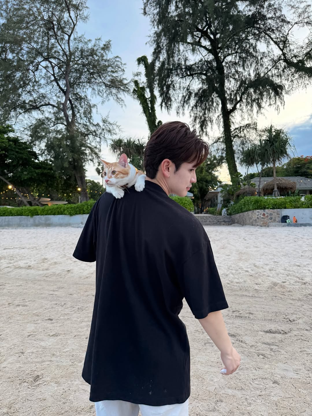 เต๋า - เศรษฐพงศ์ เพียงพอ