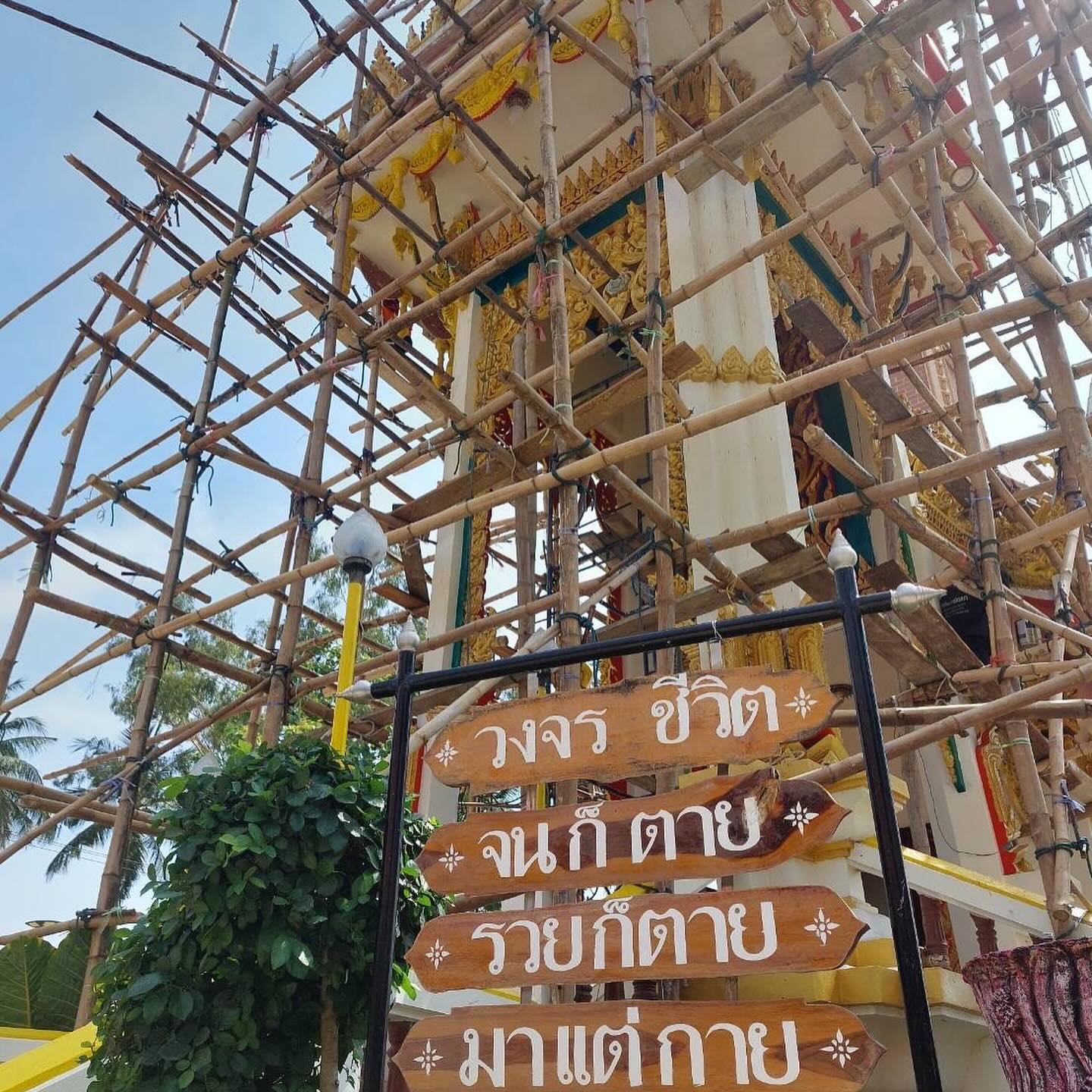 เปิ้ล - นาคร ศิลาชัย