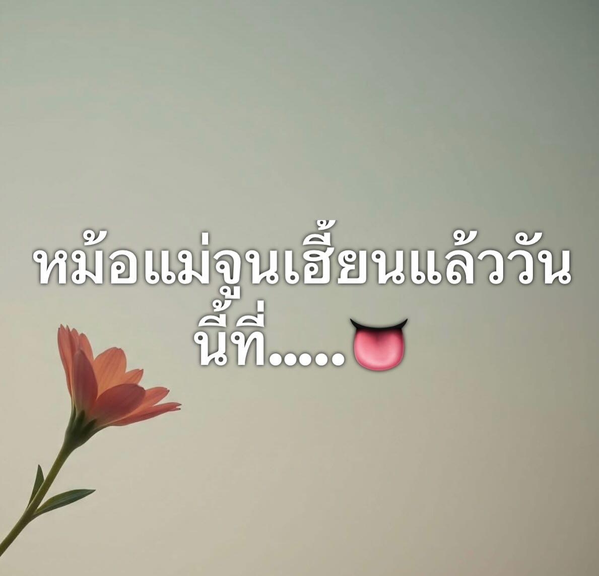 เปิ้ล - นาคร ศิลาชัย