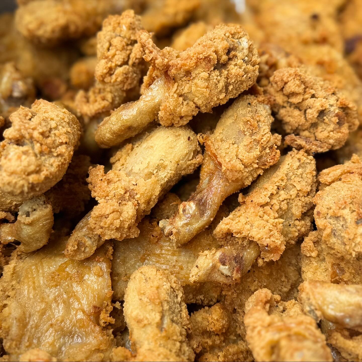 เปิ้ล - นาคร ศิลาชัย