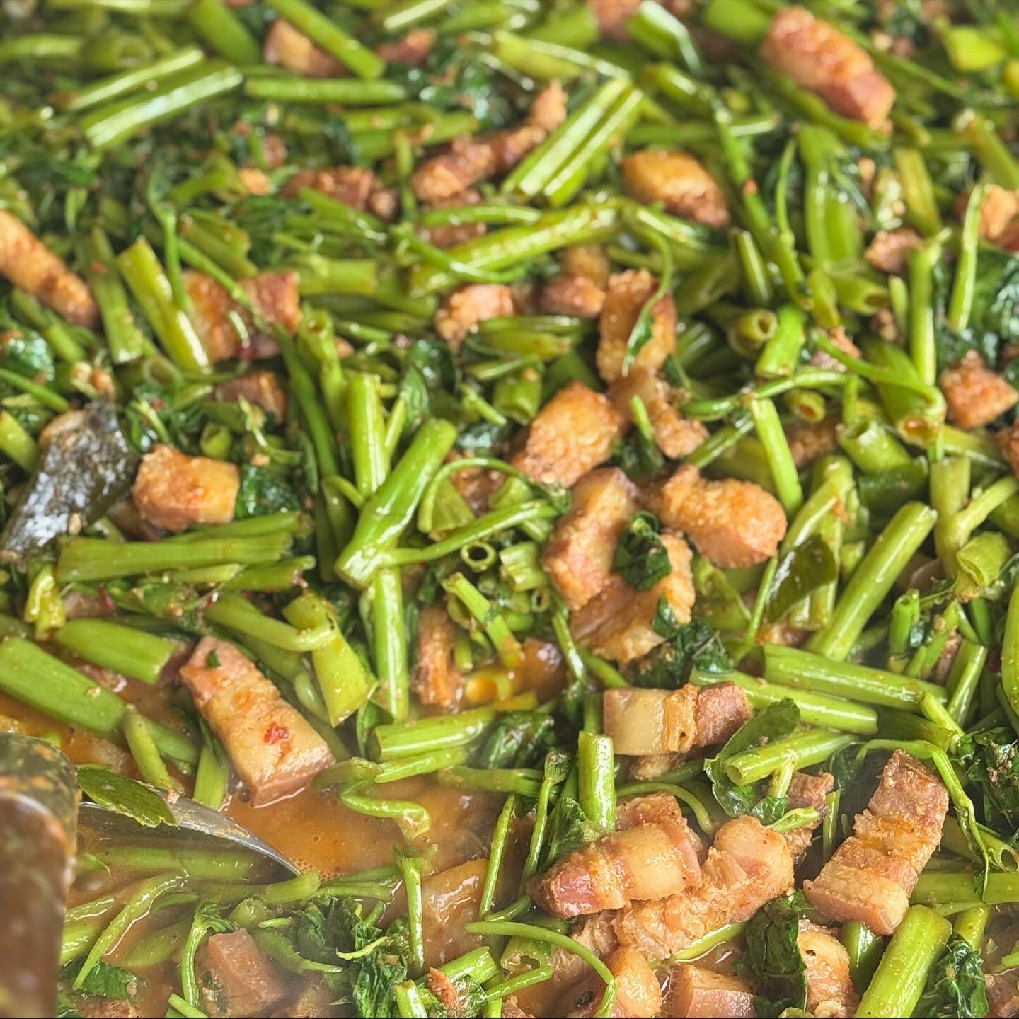 เปิ้ล - นาคร ศิลาชัย