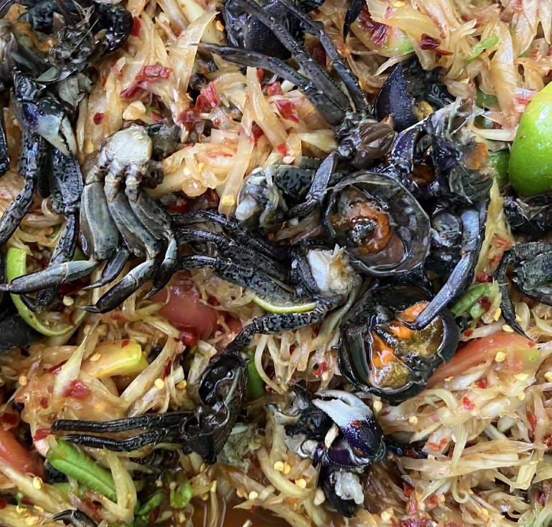 เปิ้ล - นาคร ศิลาชัย