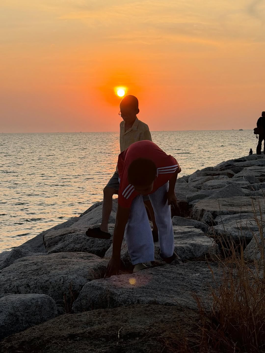 เปิ้ล - นาคร ศิลาชัย