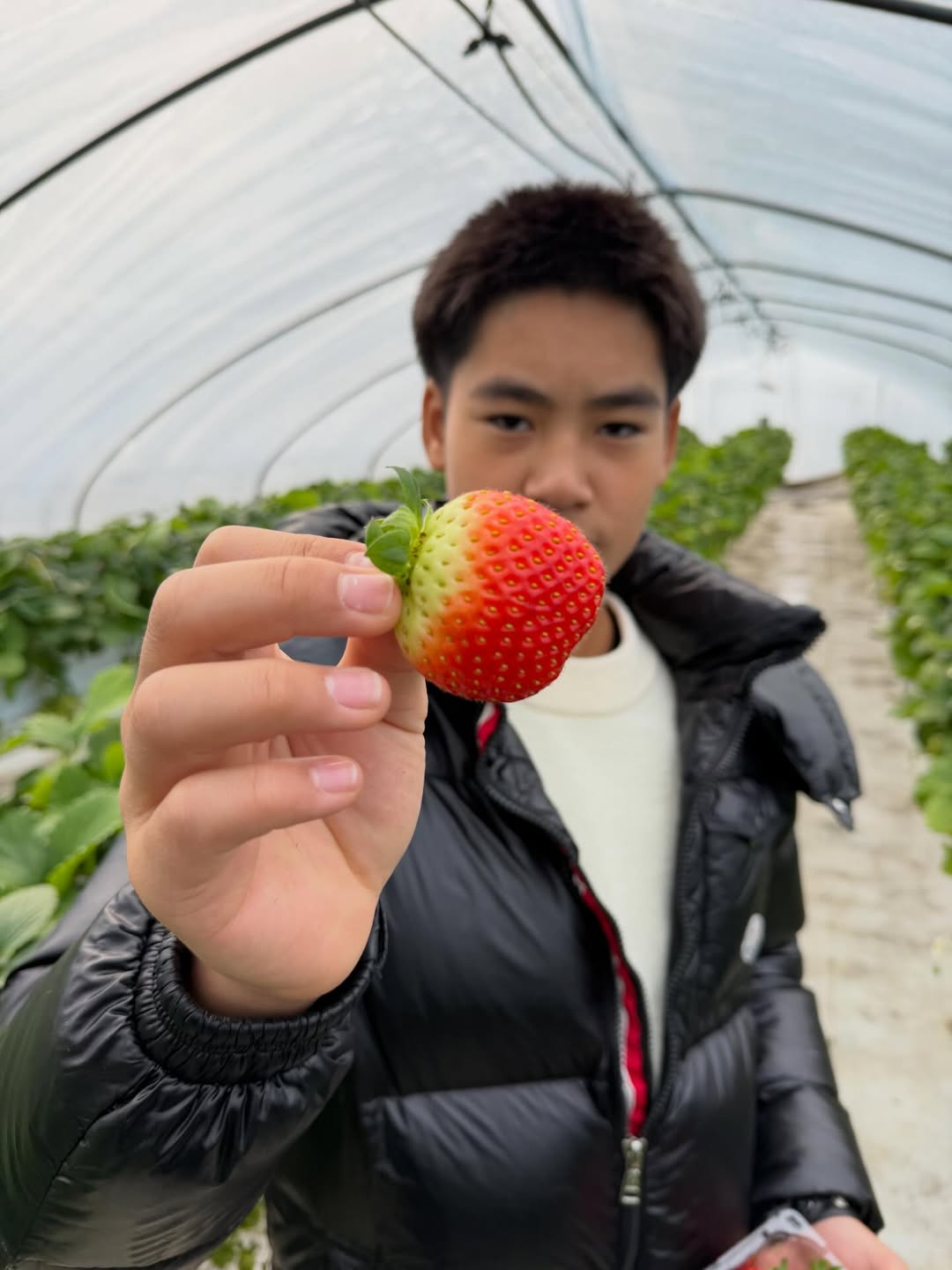 เปิ้ล - นาคร ศิลาชัย