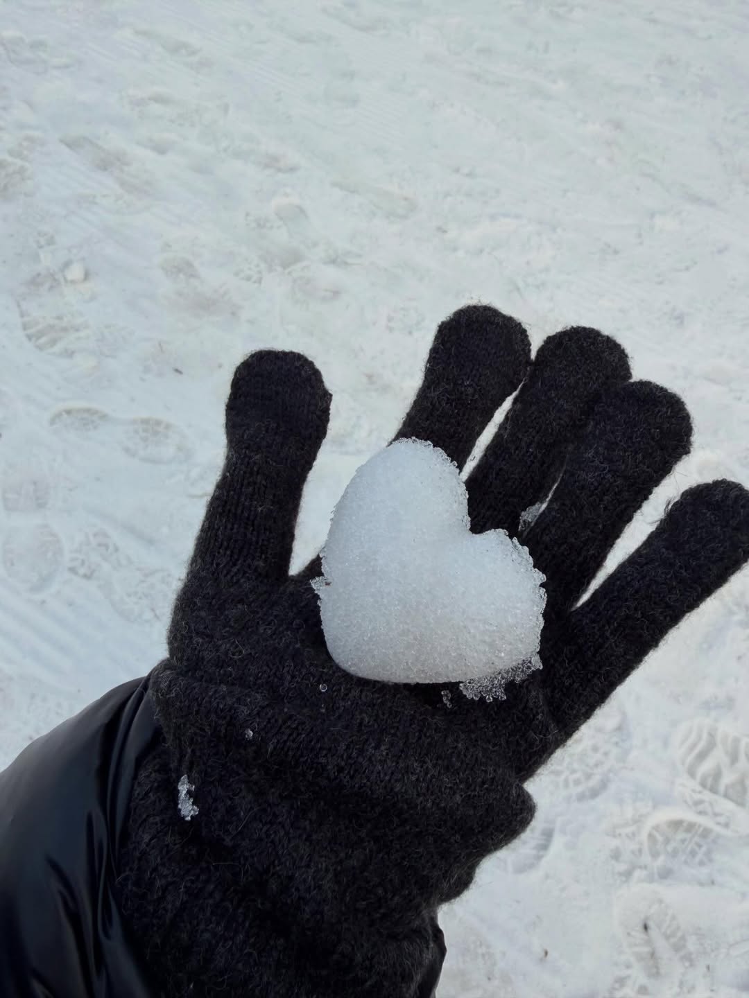 เปิ้ล - นาคร ศิลาชัย