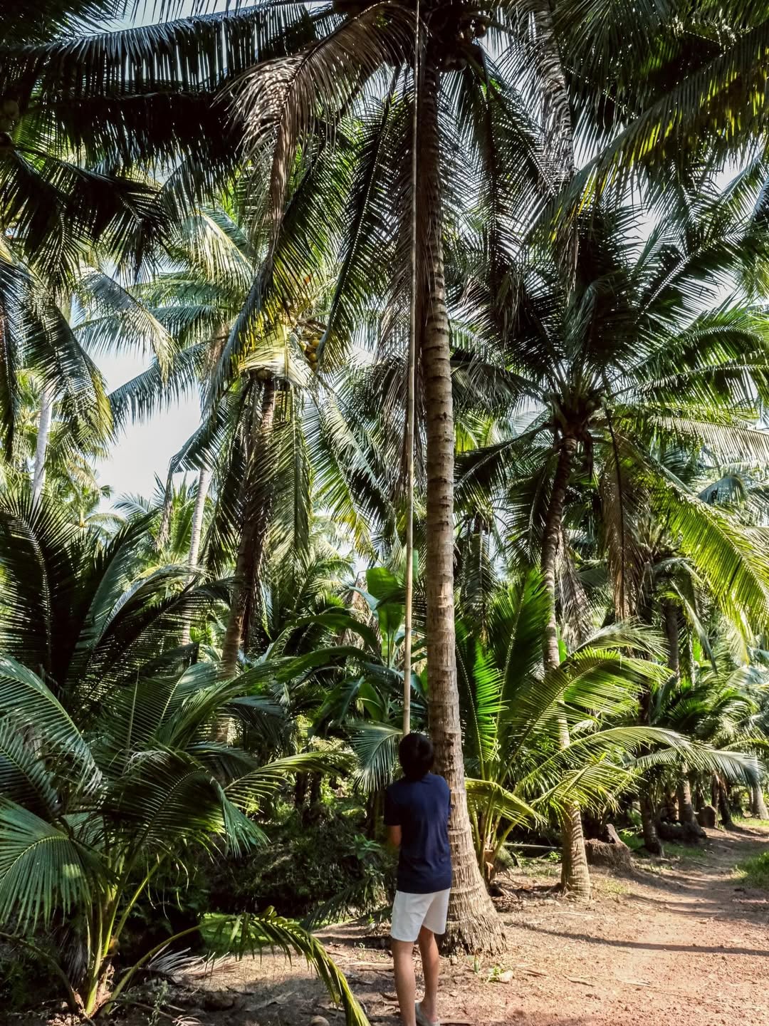 เปิ้ล - นาคร ศิลาชัย