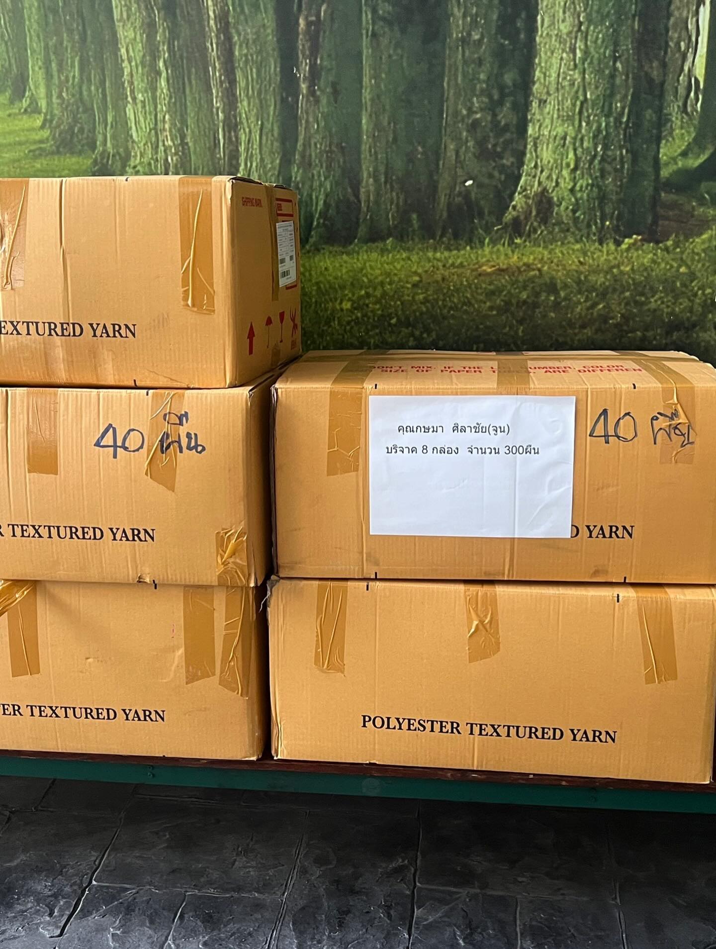 เปิ้ล - นาคร ศิลาชัย