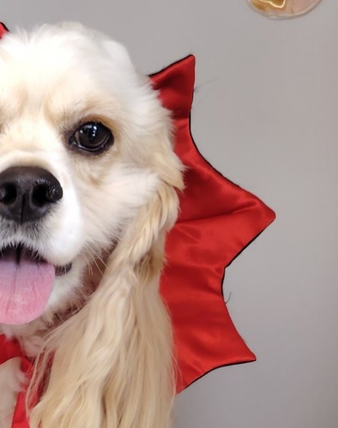 ข้าวตัง - ธนวัฒน์ รัตนกิจไพศาล