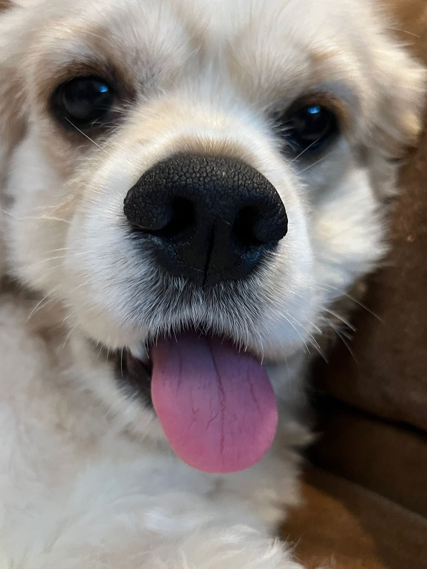 ข้าวตัง - ธนวัฒน์ รัตนกิจไพศาล