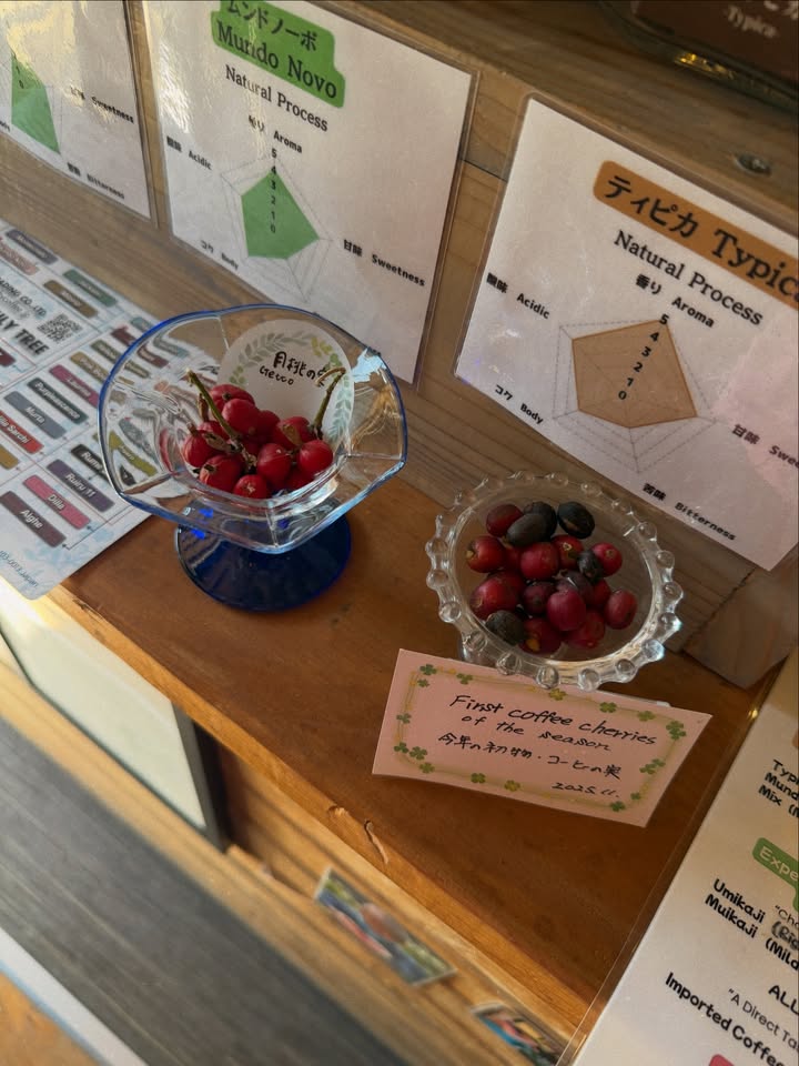 ข้าวตัง - ธนวัฒน์ รัตนกิจไพศาล