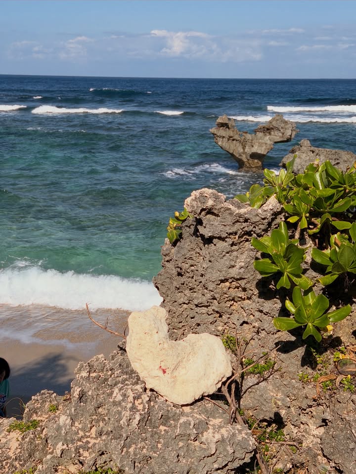 ข้าวตัง - ธนวัฒน์ รัตนกิจไพศาล