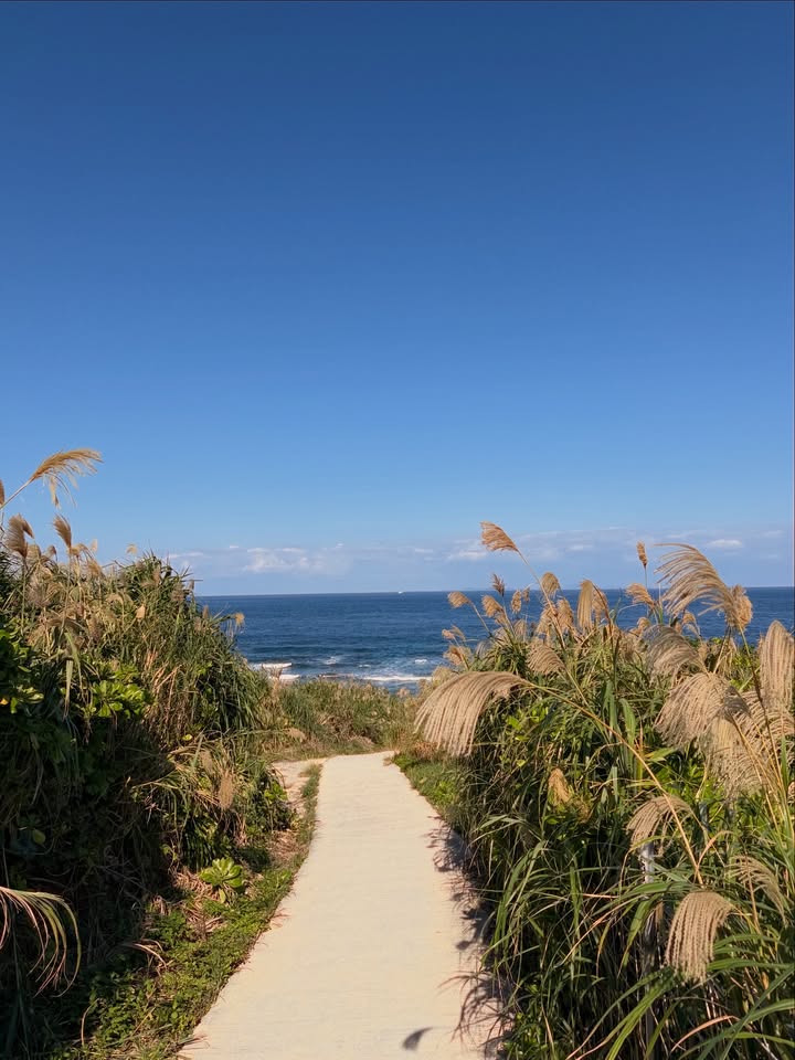 ข้าวตัง - ธนวัฒน์ รัตนกิจไพศาล