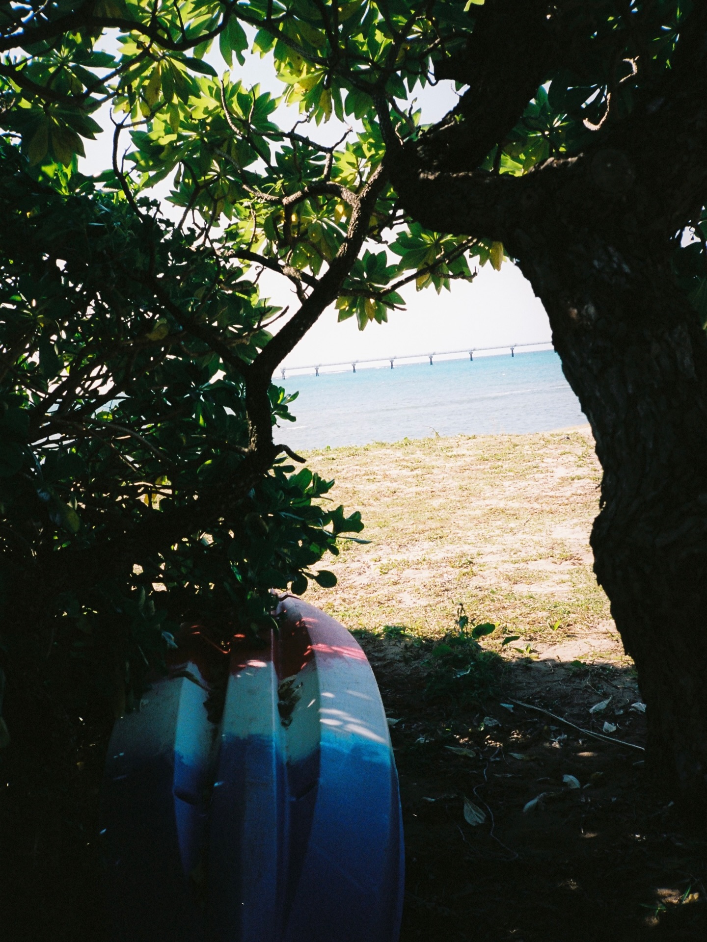 ข้าวตัง - ธนวัฒน์ รัตนกิจไพศาล