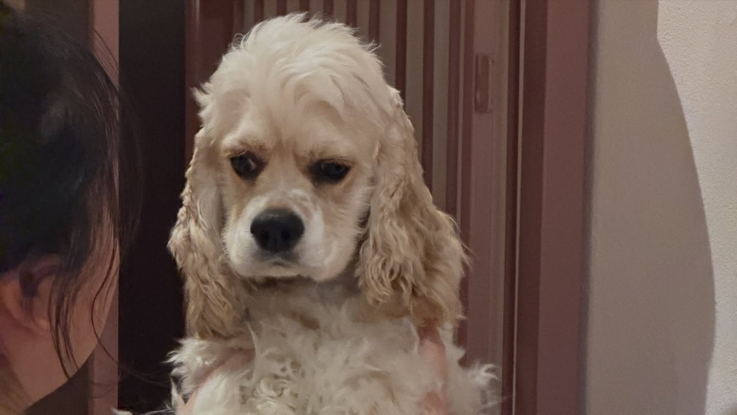 ข้าวตัง - ธนวัฒน์ รัตนกิจไพศาล