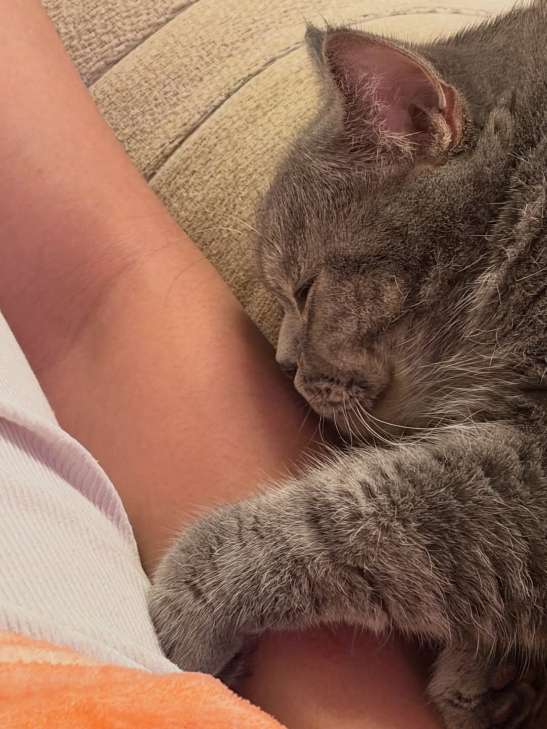 ข้าวตัง - ธนวัฒน์ รัตนกิจไพศาล