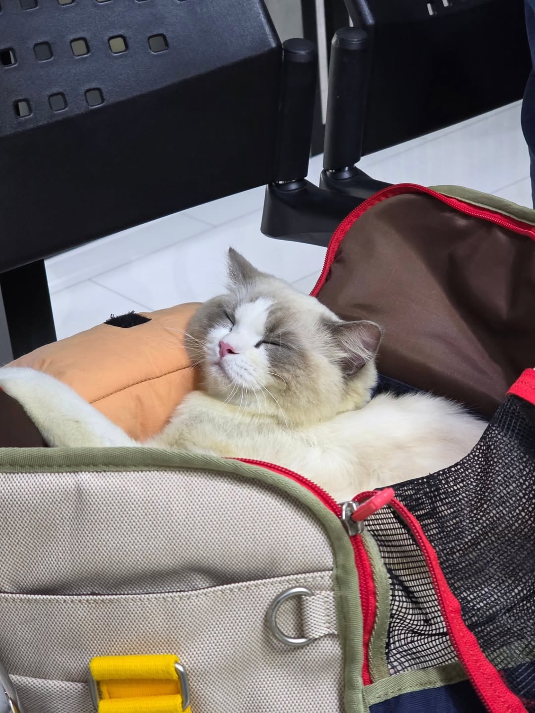 ภูวินทร์ ตั้งศักดิ์ยืน