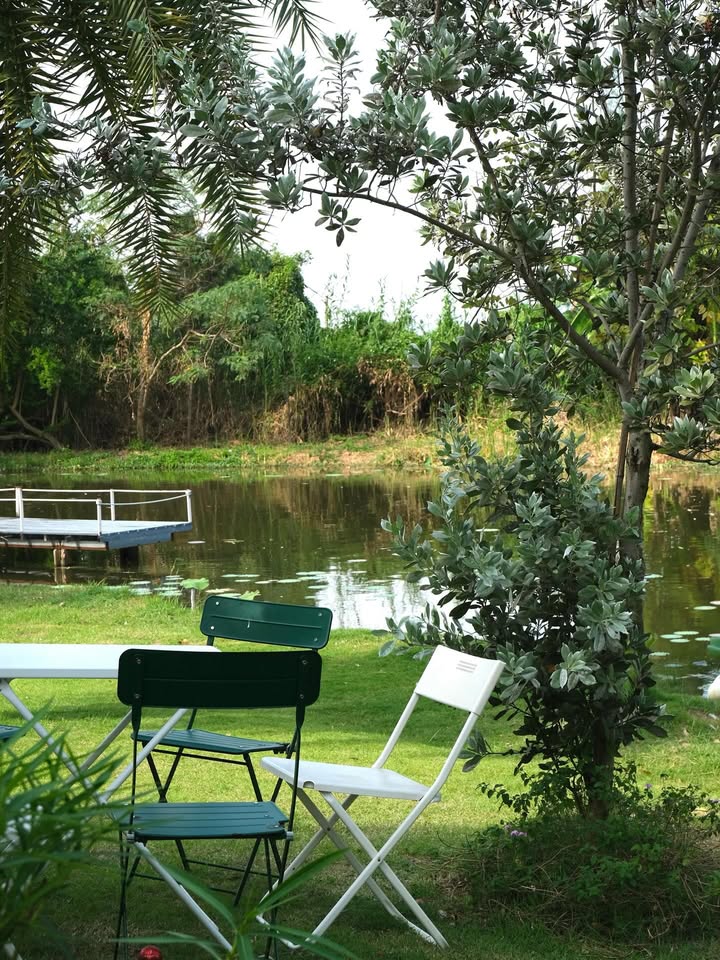 พี - พีรวิชญ์ พลอยนำพล