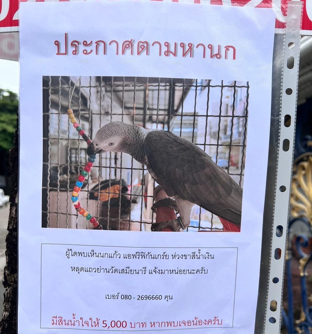 ปุ๊กลุก - ฝนทิพย์ วัชรตระกูล