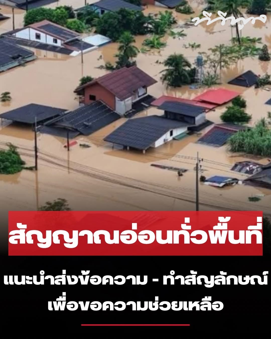 ปุ๊กลุก - ฝนทิพย์ วัชรตระกูล