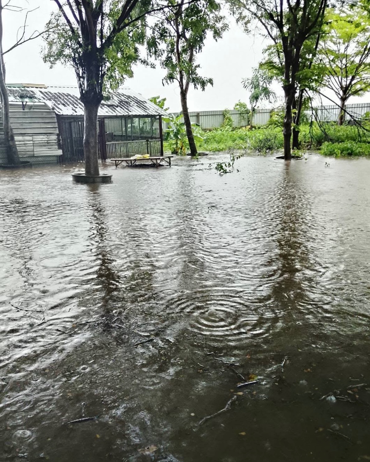 ปุ๊กลุก - ฝนทิพย์ วัชรตระกูล