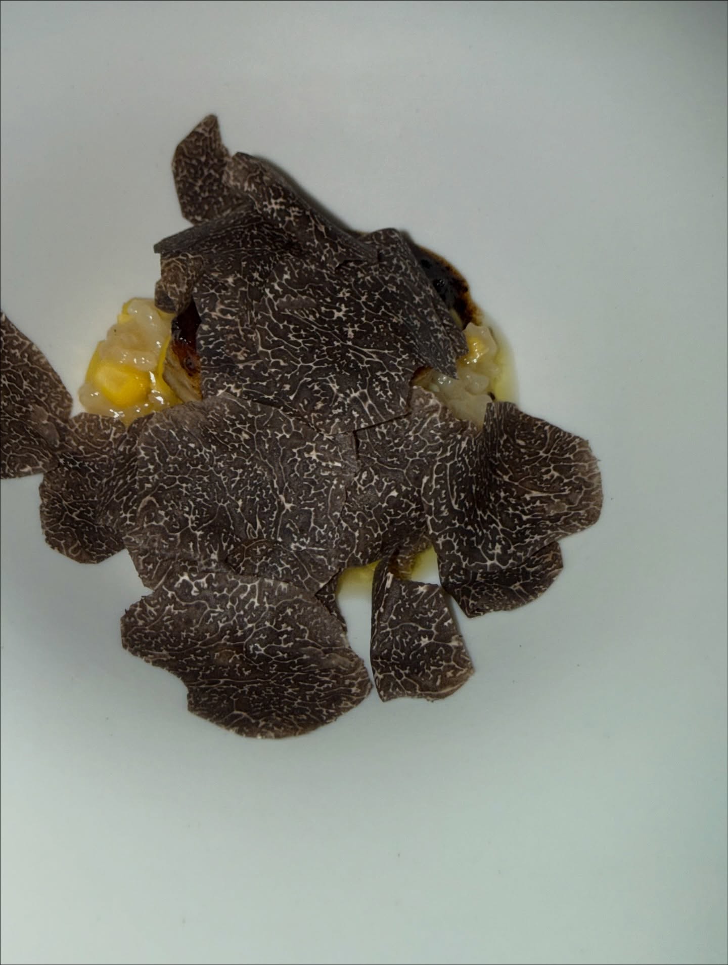 โอบ - โอบนิธิ วิวรรธนวรางค์