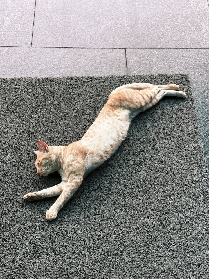 โอบ - โอบนิธิ วิวรรธนวรางค์