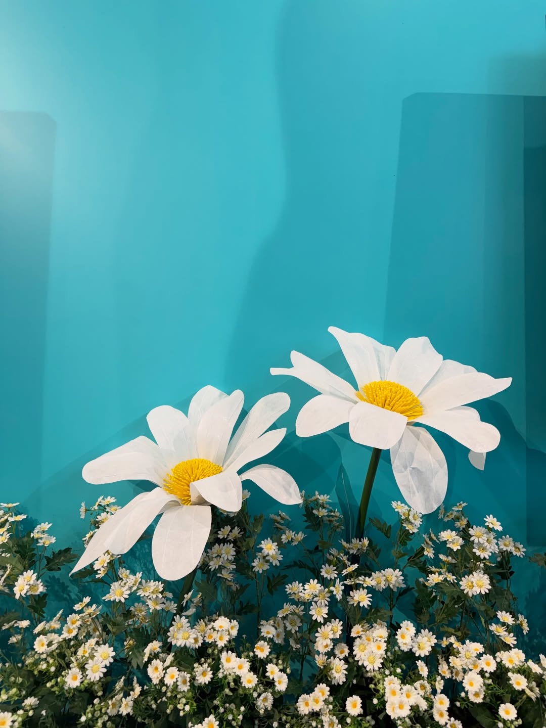 โอบ - โอบนิธิ วิวรรธนวรางค์