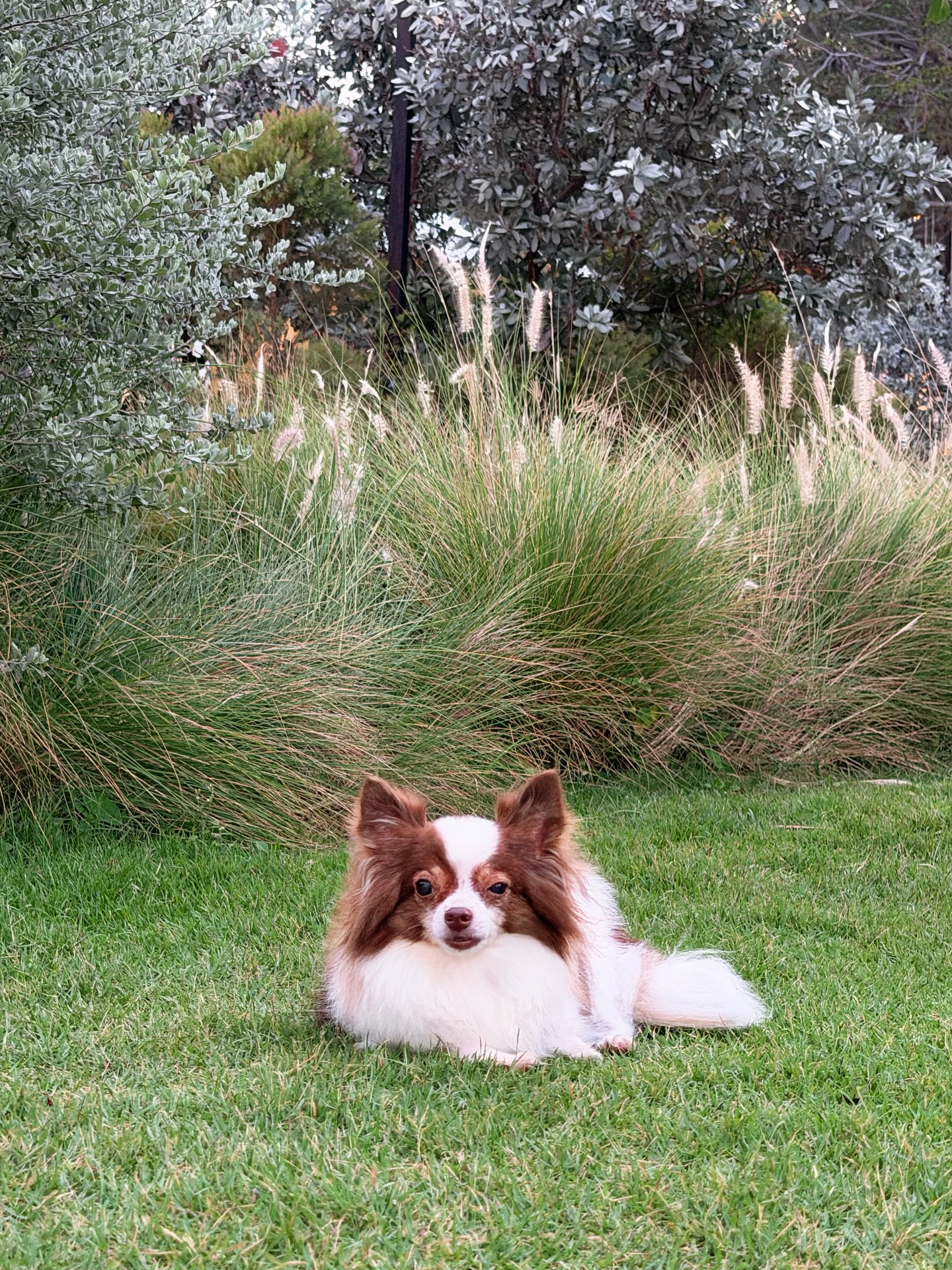 โอบ - โอบนิธิ วิวรรธนวรางค์