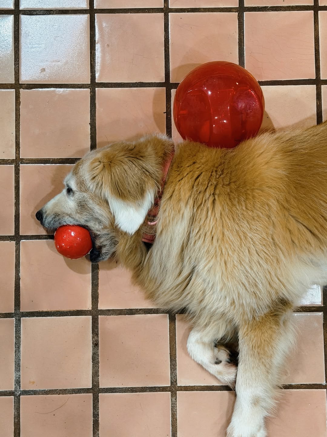 โอบ - โอบนิธิ วิวรรธนวรางค์