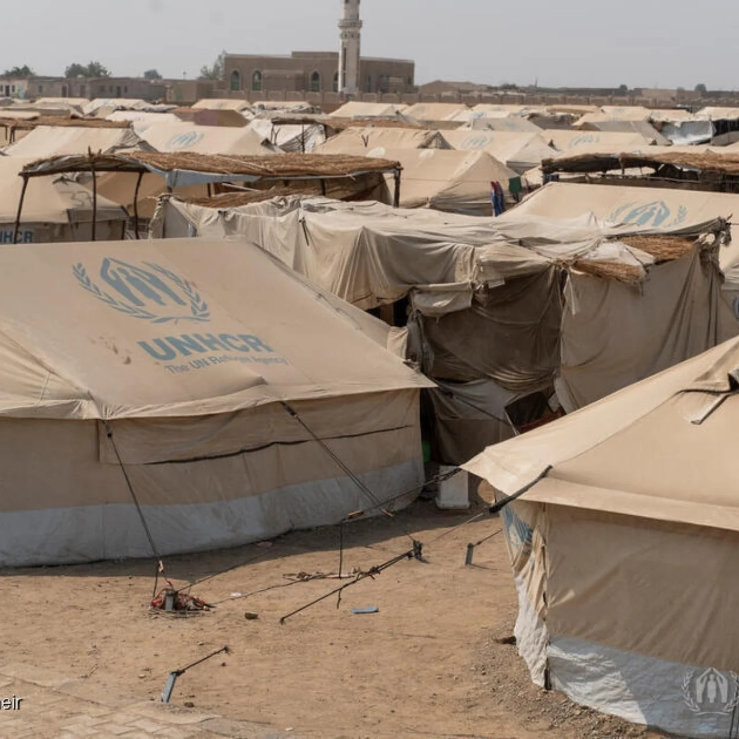 สิงห์ - วรรณสิงห์ ประเสริฐกุล