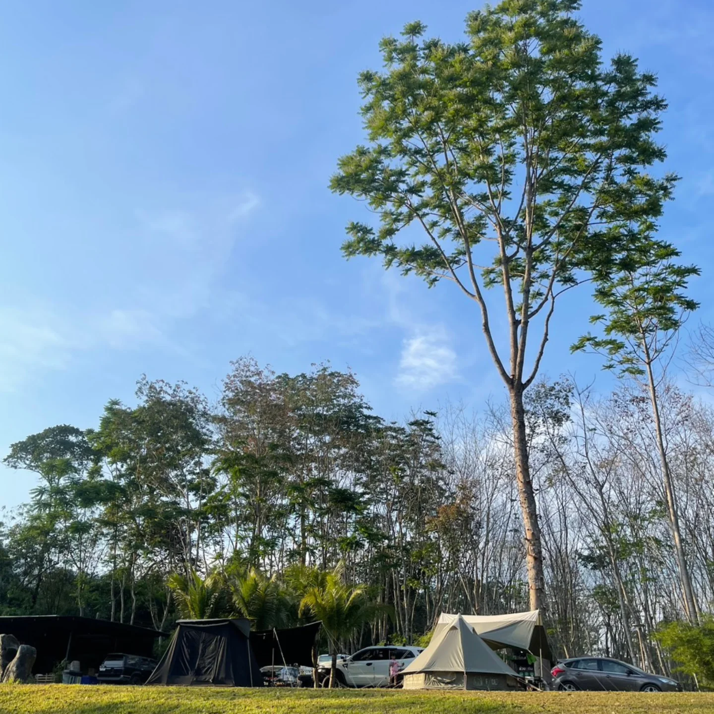 สิงห์ - วรรณสิงห์ ประเสริฐกุล