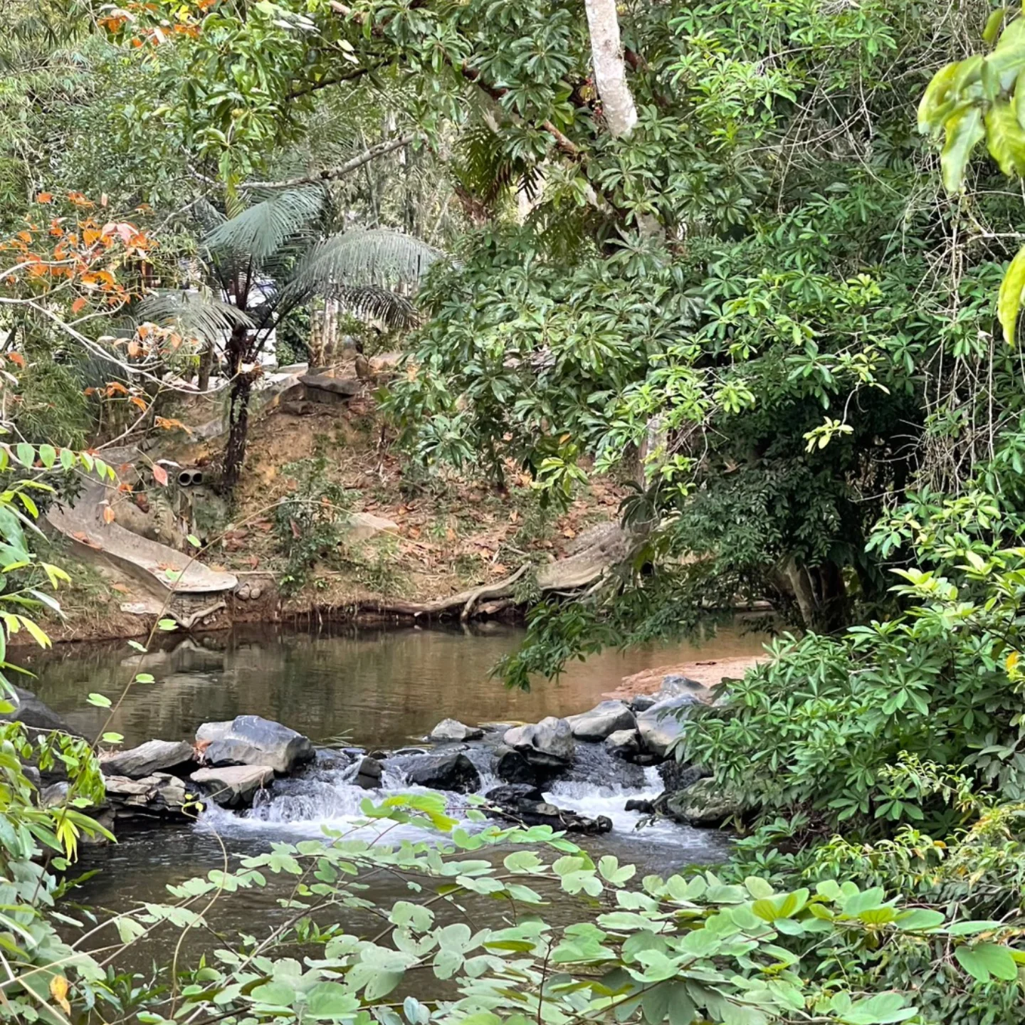 สิงห์ - วรรณสิงห์ ประเสริฐกุล