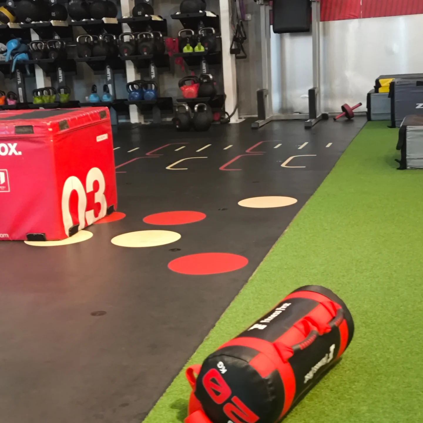 สิงห์ - วรรณสิงห์ ประเสริฐกุล