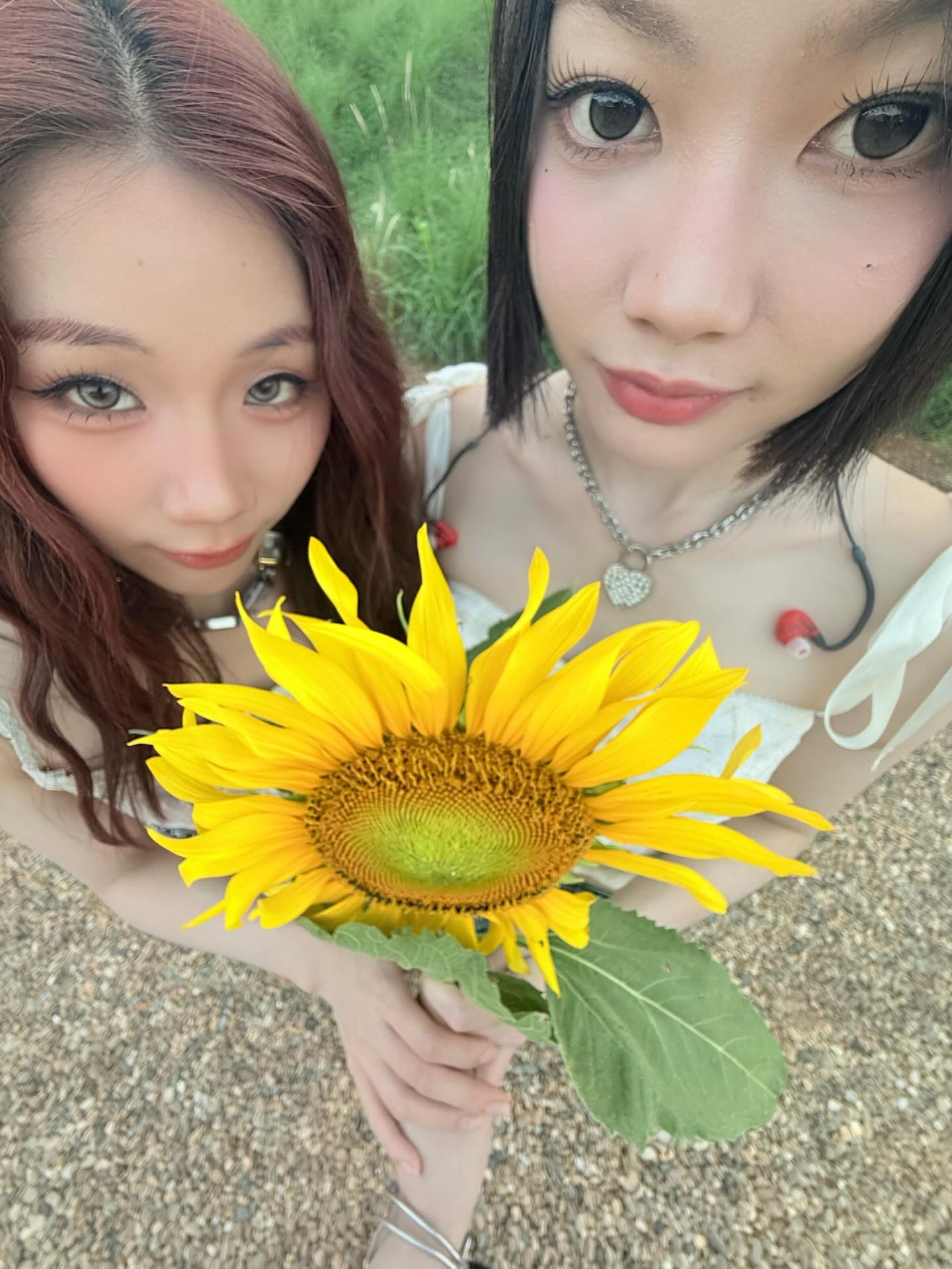 มาเบล - สุชาดา สอนพันธ์