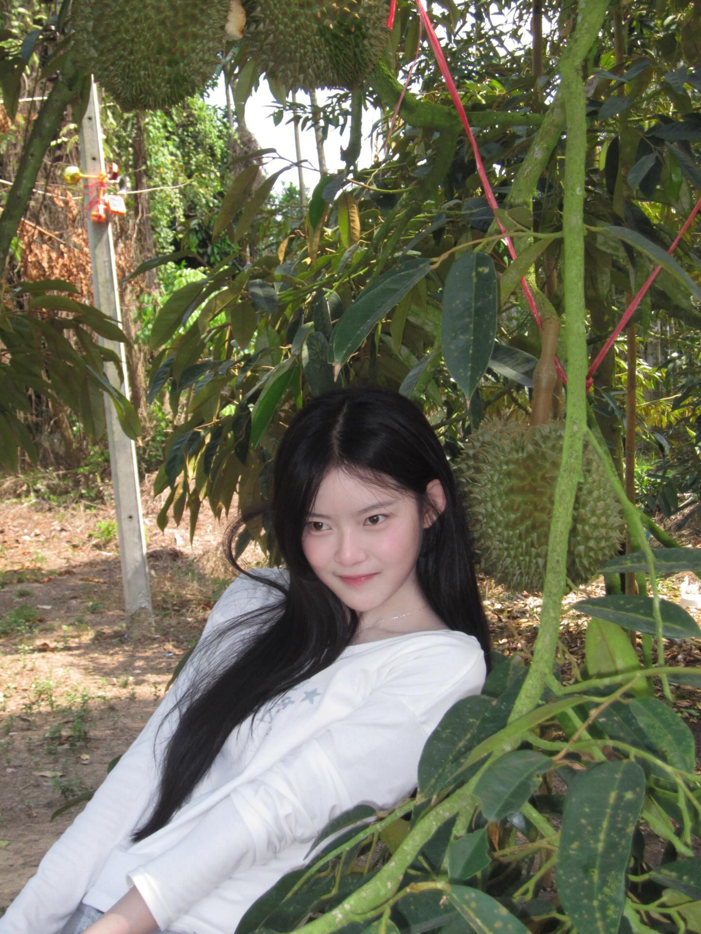 มาเบล - สุชาดา สอนพันธ์